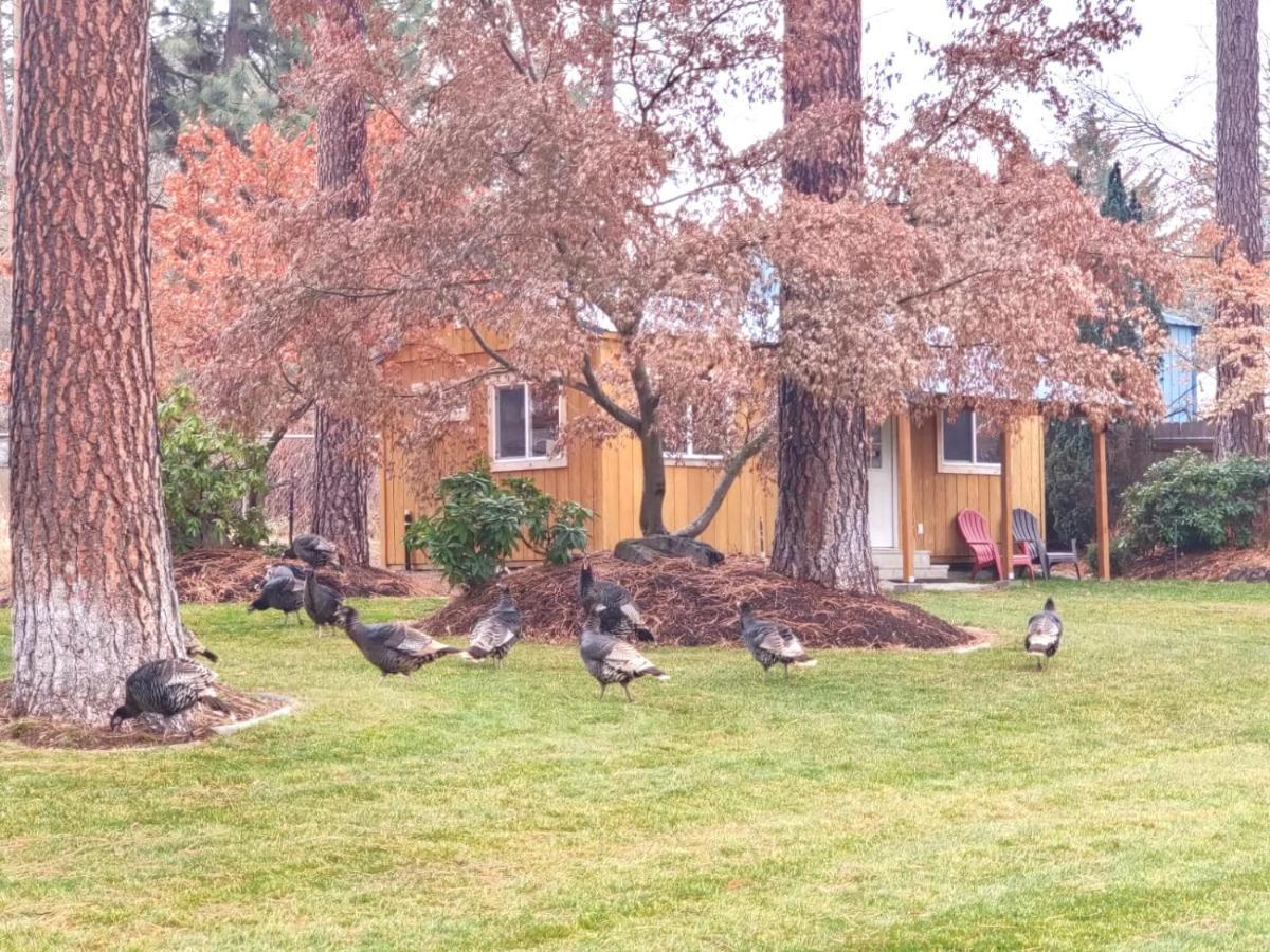 The Base Camp Villa Spokane Exterior photo